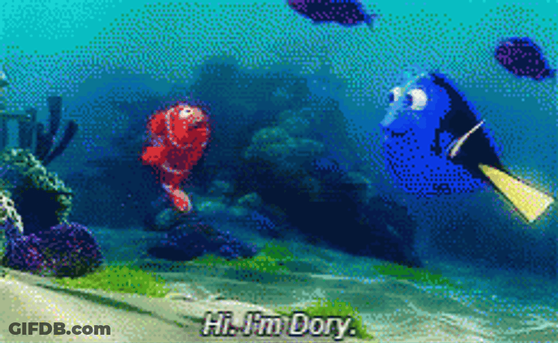 Dory Introducing Himself To Nemo GIF