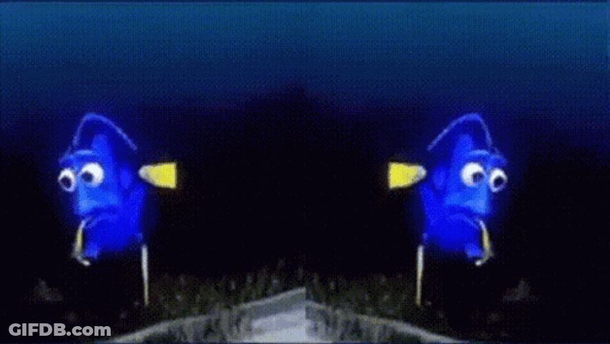 Dory Mirror GIF
