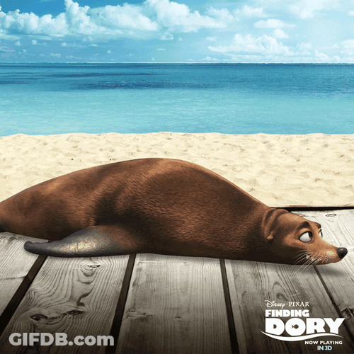 Dory Spinning Seal GIF