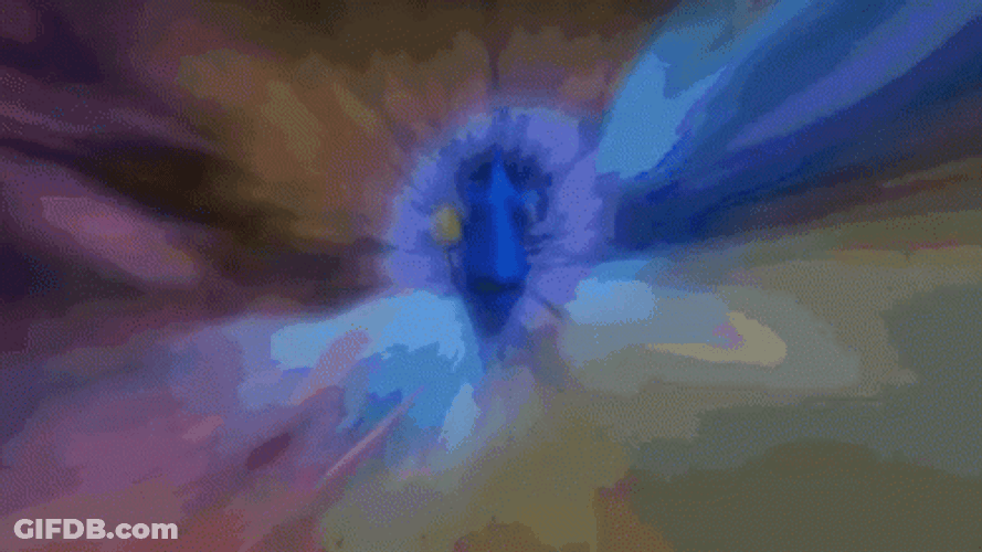 Dory Swimming Away Fast GIF