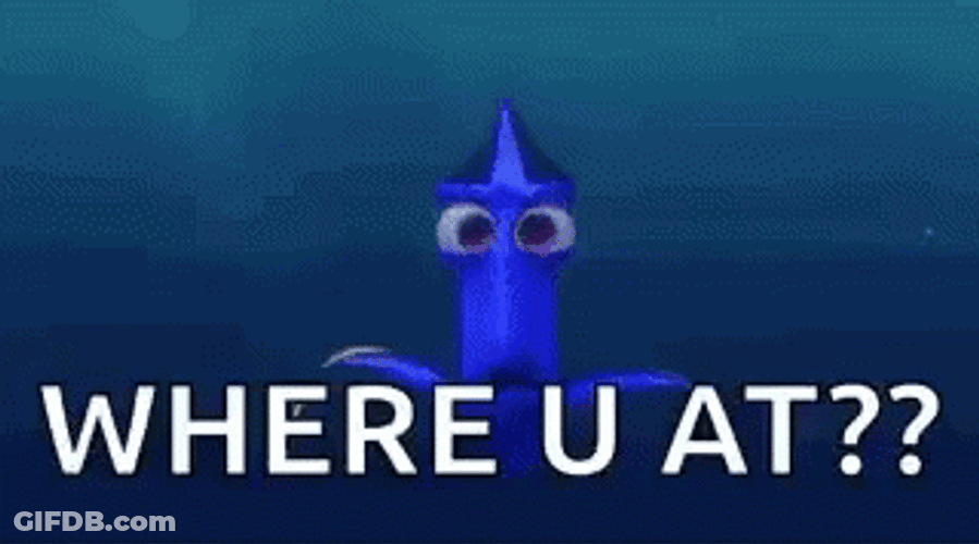Dory Where GIF