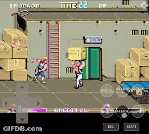 Double Dragon Three GIF