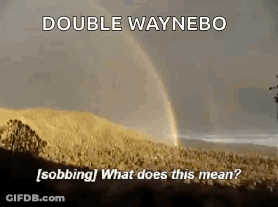 Double Rainbow Double Waynebo GIF