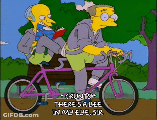 Double Riding Bike The Simpsons GIF