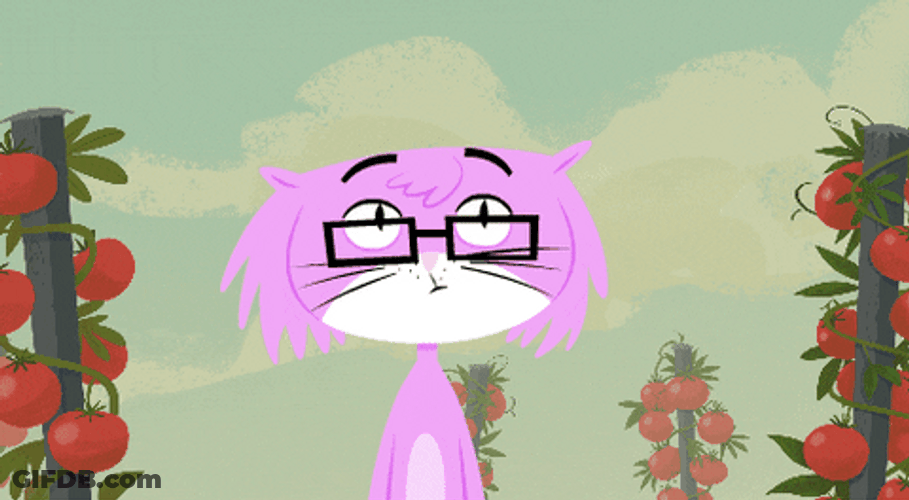 Double Take Cat Kitty Not Cat GIF