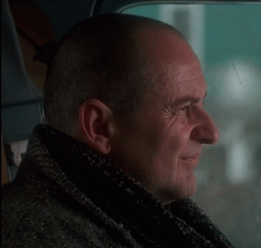 Double Take Home Alone Harry Glare GIF