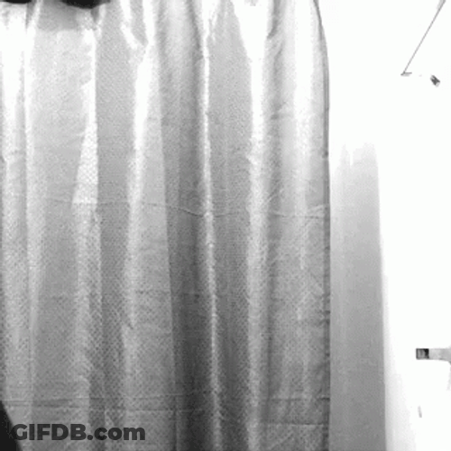 Double Take What Whoa Huh Reaction GIF