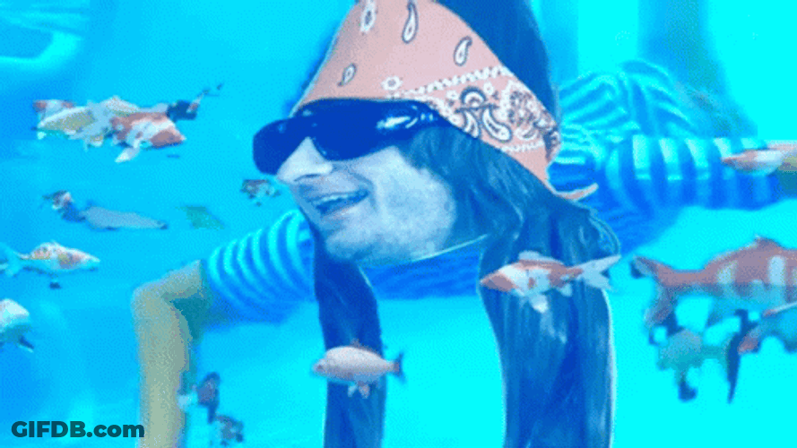 Doubledougs Swimming With Fish GIF