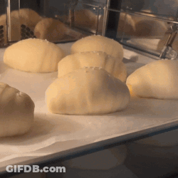 Dough Balls On A Tray GIF