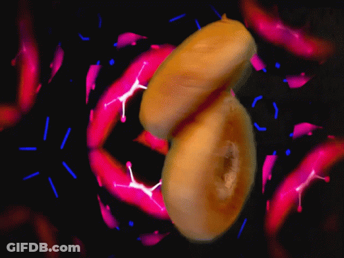 Doughnut Surrounded By Pink And Blue Sprinkles GIF
