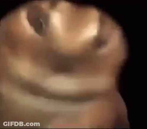 Doughnut With Hole GIF