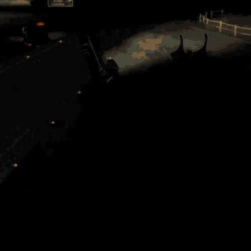 Dougit Dougs GIF