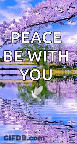 Dove Flying Over Lake With Purple Flowers GIF