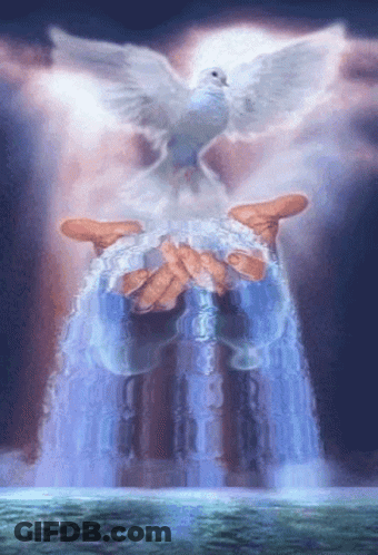 Dove Flying Over Waterfall Held By Person GIF