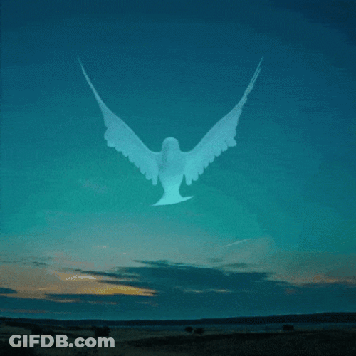 Dove Peace Animation GIF