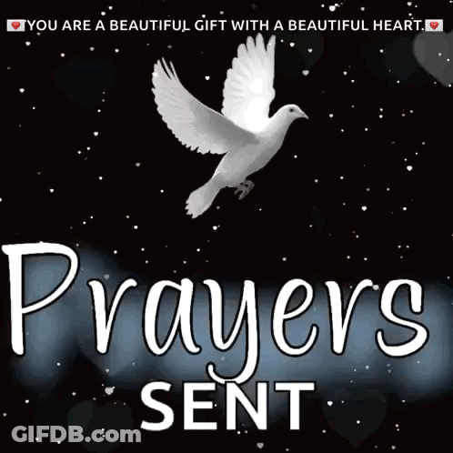 Dove Prayers Sent GIF
