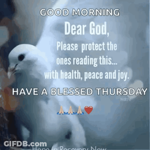 Dove Saying Good Morning Dear God Please Protect The Ones Reading This GIF