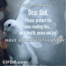 Dove Saying Good Morning Dear God Please Protect The Ones Reading This With Health Peace GIF