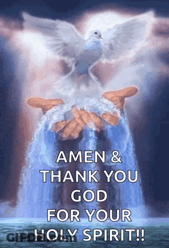 Dove With Amen And Thank You God GIF