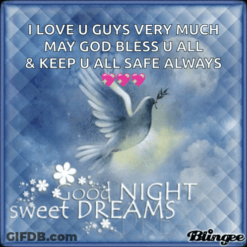 Dove With I Love U Guys Very Much GIF