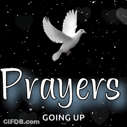Dove With Prayers Going Up GIF