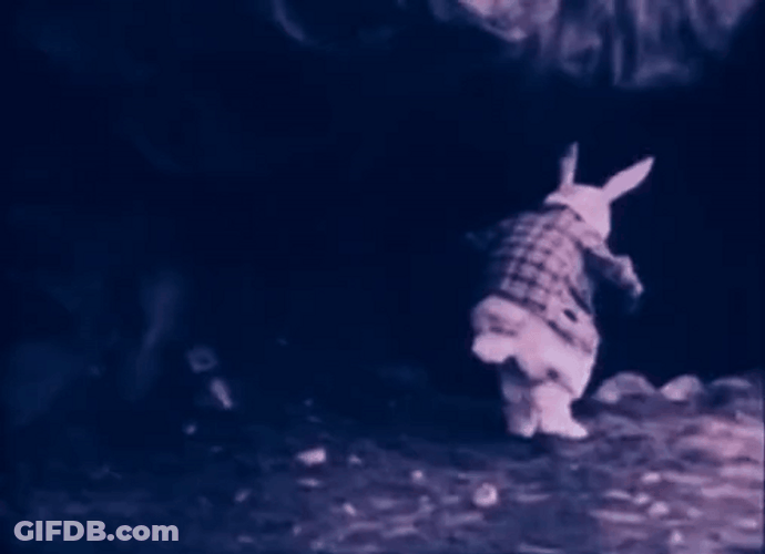 Down The Rabbit Hole GIF