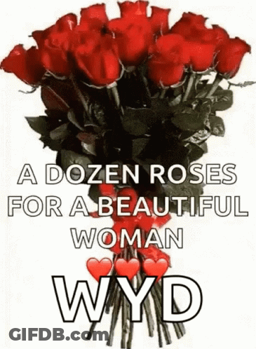 Dozen Red Roses For Beautiful Woman Wyd GIF