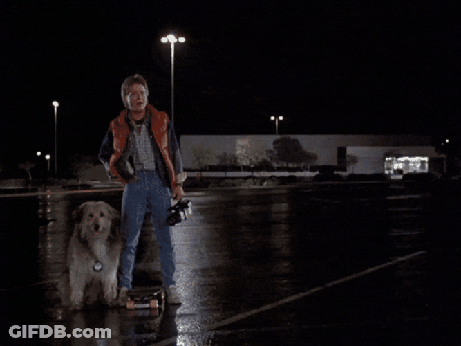 Dr Emmet Brown Descending Delorean GIF