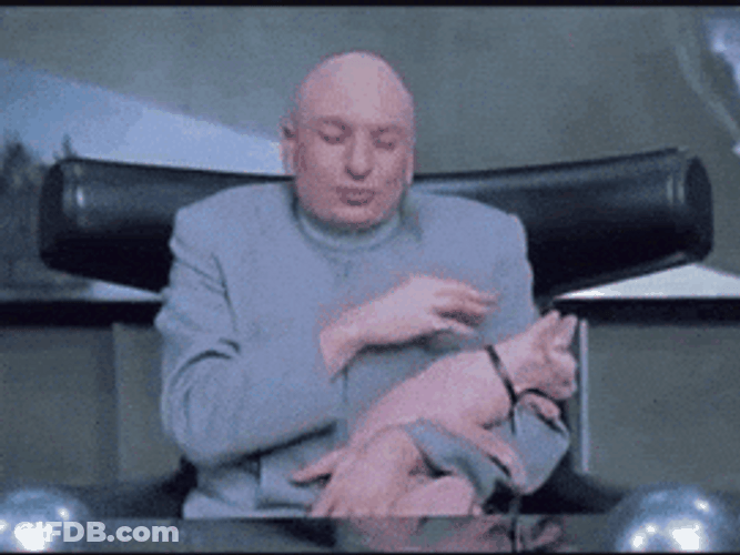 Dr Evil Right Carrying Pet Cat GIF