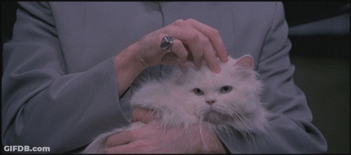 Dr. Evil Stroking Hairy Cat's Head GIF