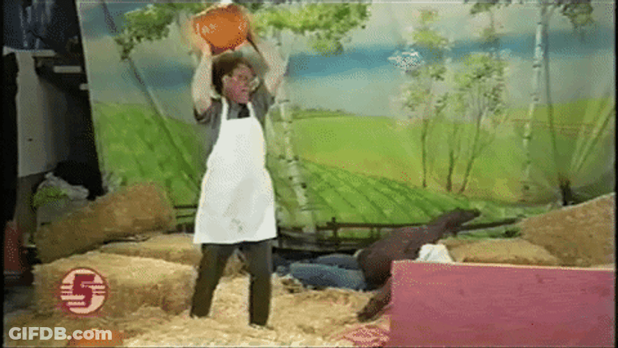 Dr. Steve Brule Throwing Down Clay Vase GIF