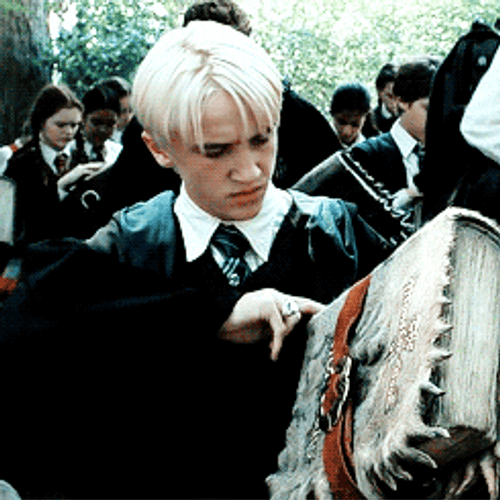 Draco Malfoy Book Of Monsters GIF