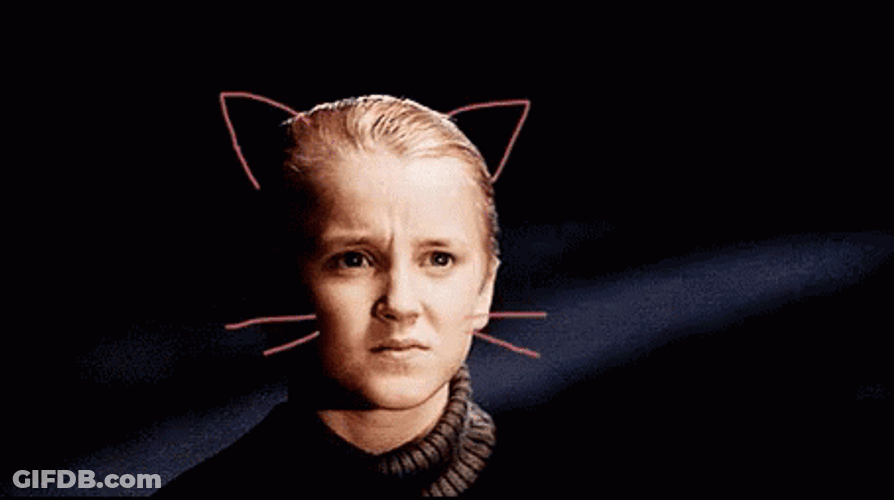 Draco Malfoy Cat Face Doodle GIF