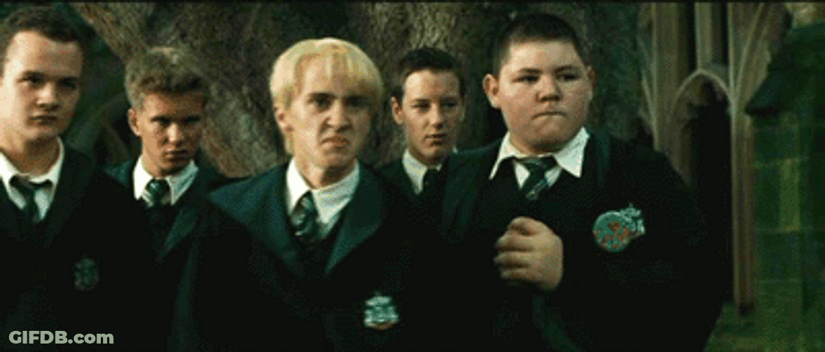 Draco Malfoy Turns Into Ferret GIF