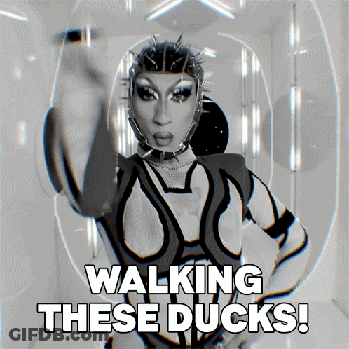 Drag Queen Walking Ducks GIF
