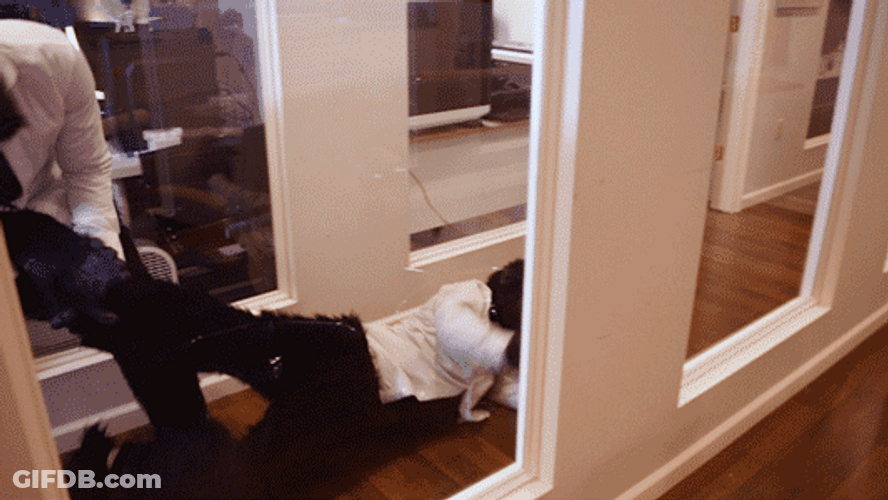 Dragging Monkey Man Outside GIF