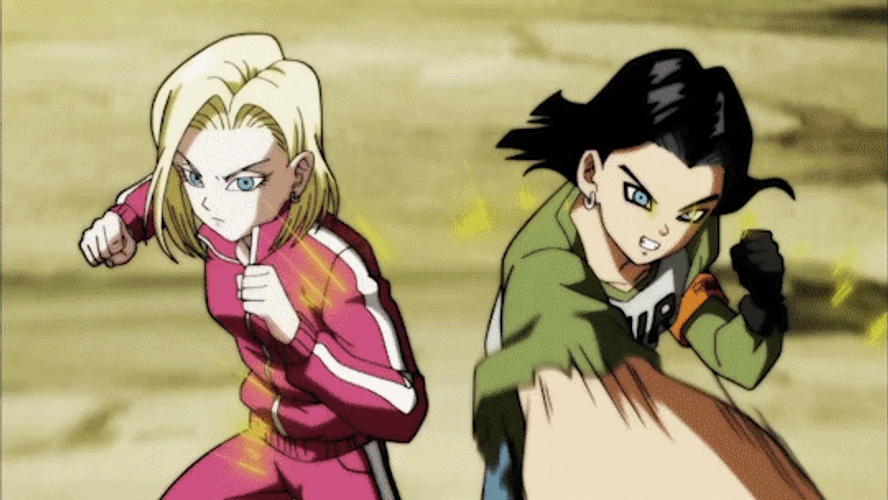 Dragon Ball Android 17 And 18 GIF