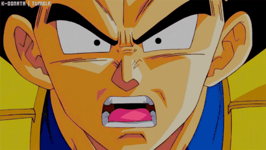 Dragon Ball  Battle Of Gods Vegeta Looking Beerus GIF