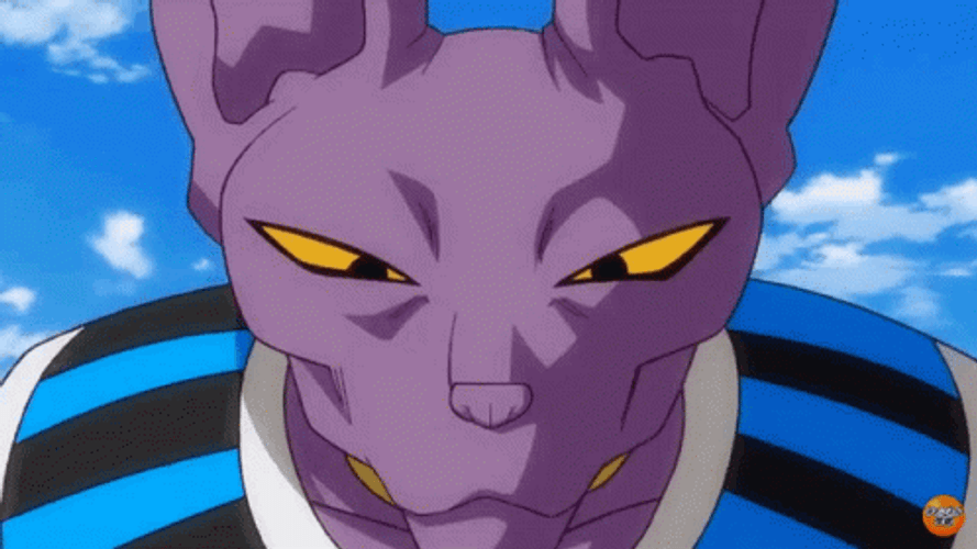 Dragon Ball Beerus With The Gods Of Destruction GIF