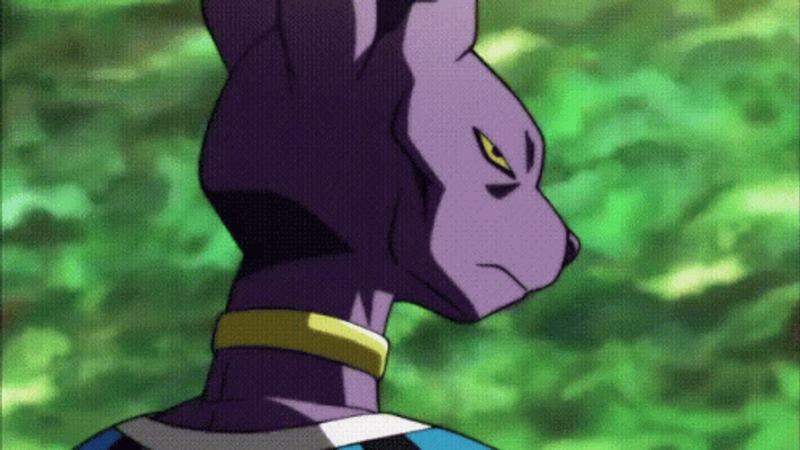 Dragon Ball God Of Destruction Beerus Say Something GIF