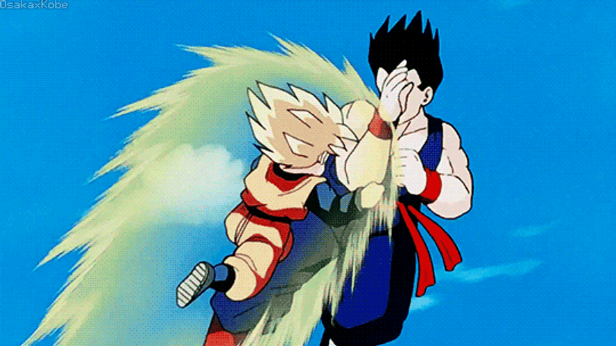 Dragon Ball Gohan Goten Fight GIF