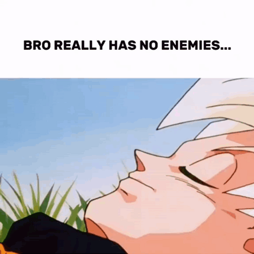 Dragon Ball I Have No Enemies GIF