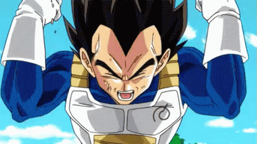 Dragon Ball Vegeta Gok GIF