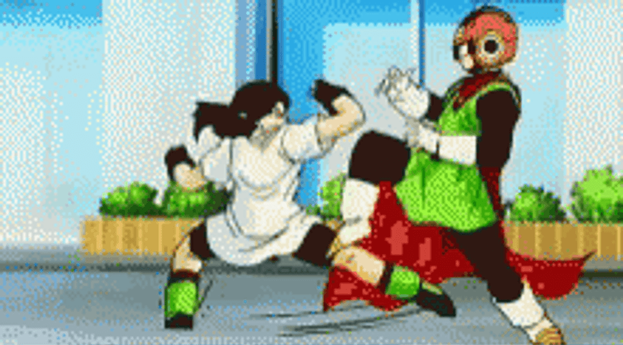 Dragon Ball Videl And Gohan Fight GIF