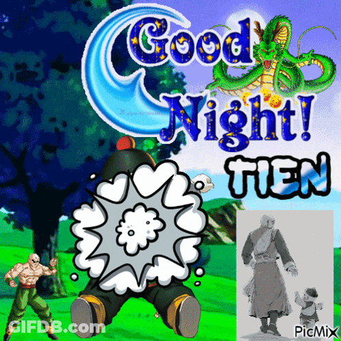 Dragon Ball Z Good Night Tien GIF