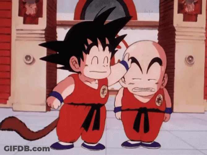 Dragon Ball Z Kid Goku & Krillin GIF