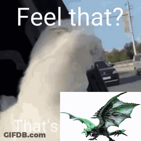 Dragon Feel That And That's GIF