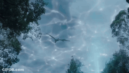 Dragon Flying Over Water Surrounded By Trees GIF