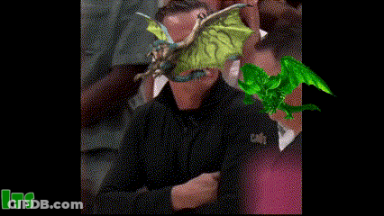 Dragon Saying Its Greening Time GIF