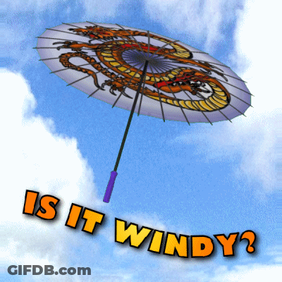 Dragon Umbrella Flying Saying Is It Windy GIF